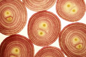 Do Onions Fight the Flu?